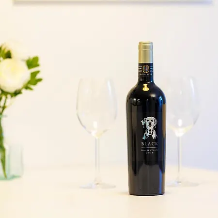 Urban Center Apartamento Split